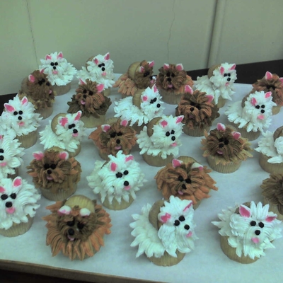 Puppycake Anyone?