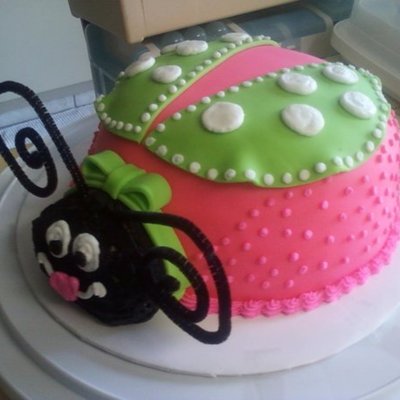 Lady Bug