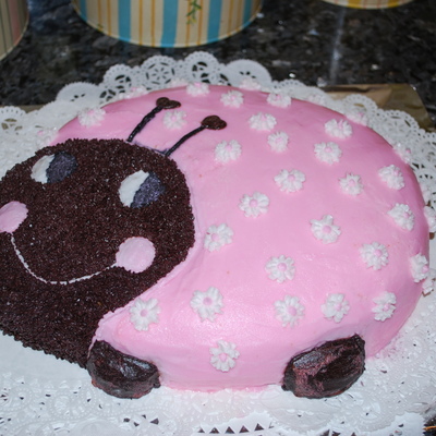 Lady Bug Cake
