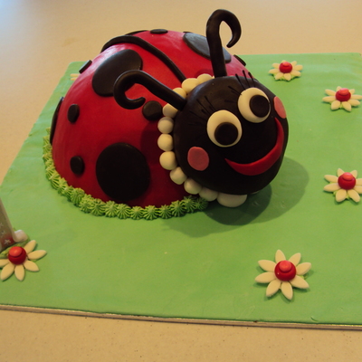 Scarlett's First Birthday Ladybug!