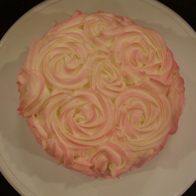 Pink Roses