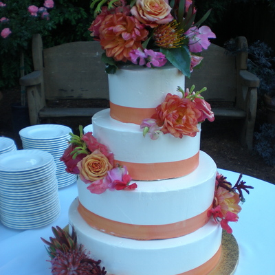 Cake In The Redwoods