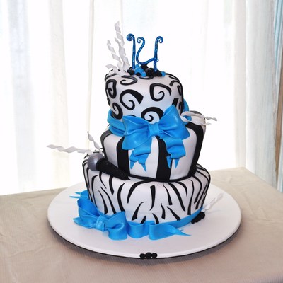 Black & White W/blue Accents