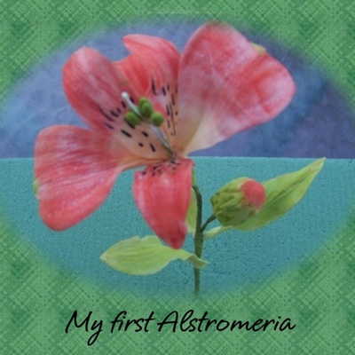 Alstromeria