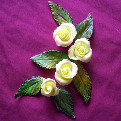 Yellow Roses In Minnesota