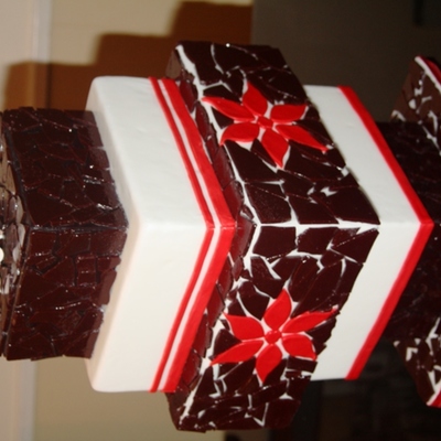 2Nd Place Winner - Great American Cake Show 2011