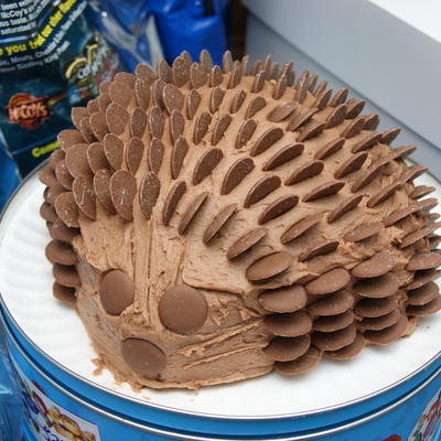Chocolate Hedgehog Cake