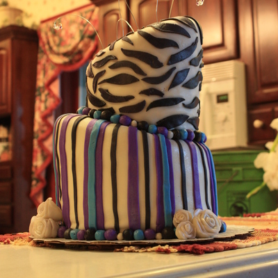 "zebras And Stripes"