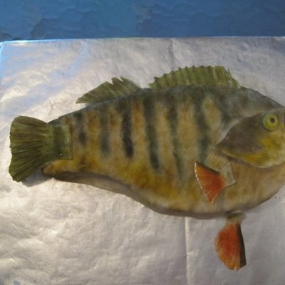 Perch Cake