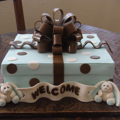 Blue And Brown Bunny Present