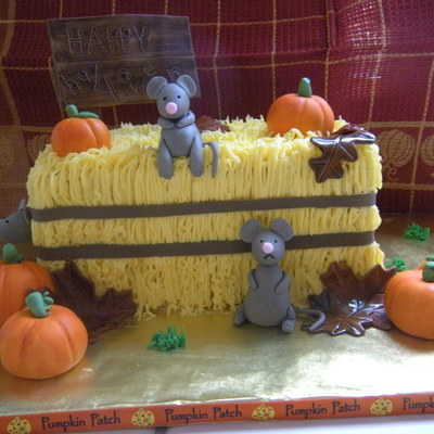 Pumpkin Patch