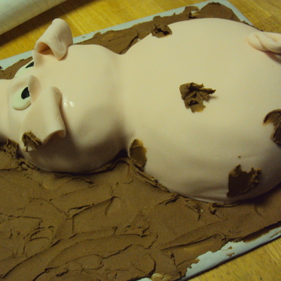 Pig In Mud