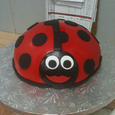 Lady Bug