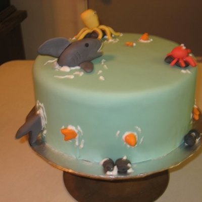 Jacobs Shark Cake