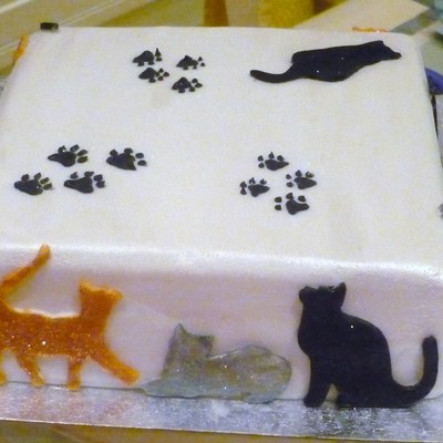 Cats Cake