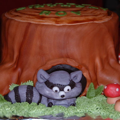 Raccoon/stump