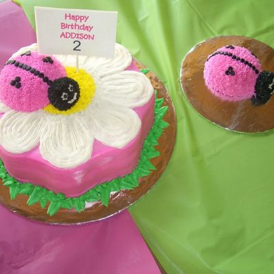 Addison's 2Nd Birthday "ladybug" Cake With Her Own Individual "ladybug!