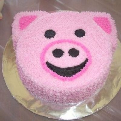 Camryn's Special "pig" Cake