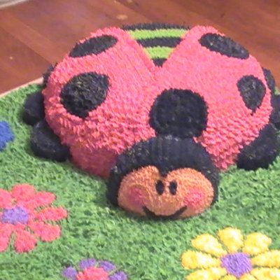 Ladybug Birthday Cake