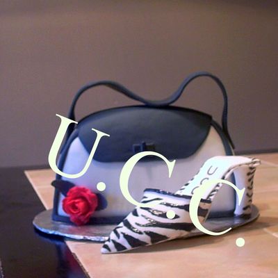 Purse And Shoe
