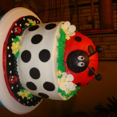 Red Lady Bug