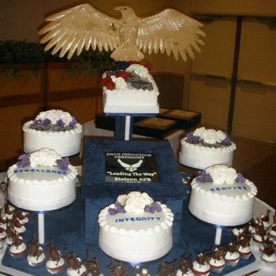Snco Induction Ceremony Eielson Afb 2010