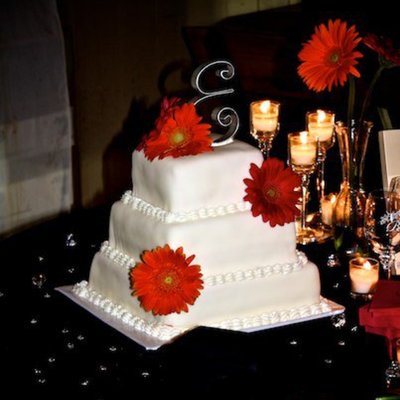 Gerber Daisy Wedding