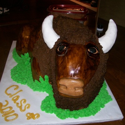 Buffalo Graduation Cake