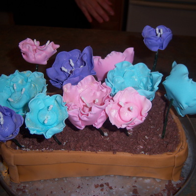 Flower Pot Cake