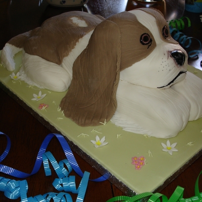 Dog Cake