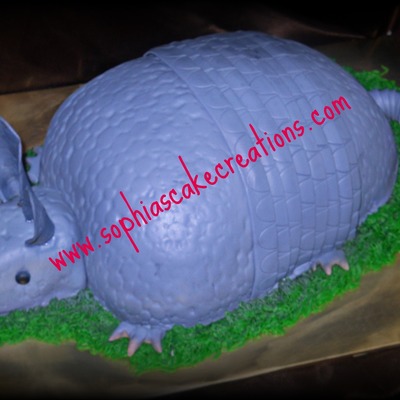 Armadillo Grooms Cake