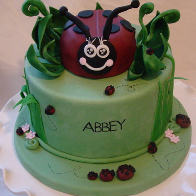 Lady Bug