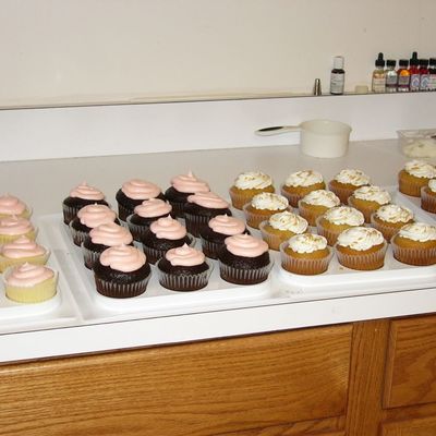 Cupcakes - Ready For Market