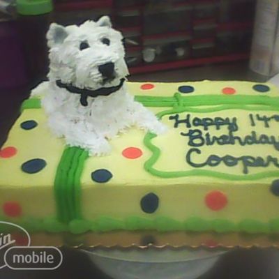 Westie Dog On Birthday Present