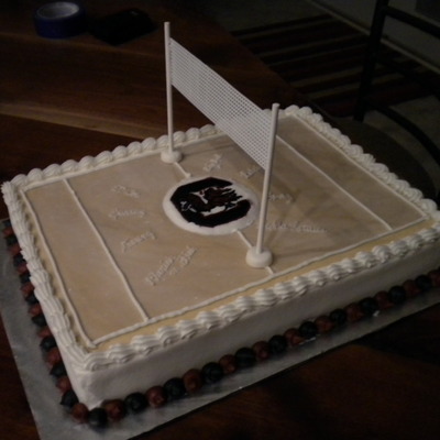 University Of South Carolina Volleyball