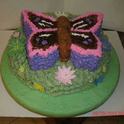 Butterfly Cake