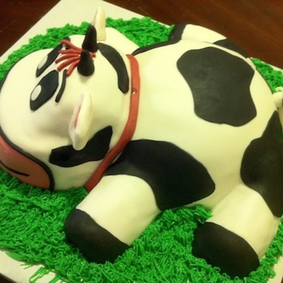 Cow Cake