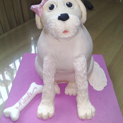 Dog Cake