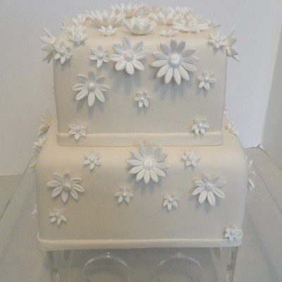 Ivory & White Daisies