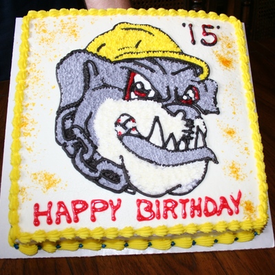 Dajunonnas Birthday Cake- Scrappy Of The Mahoning Valley Scrappers