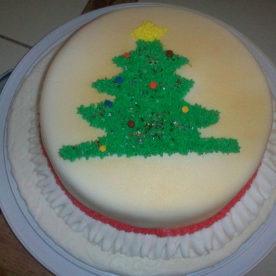 Christmas Cake Made By My Daughter