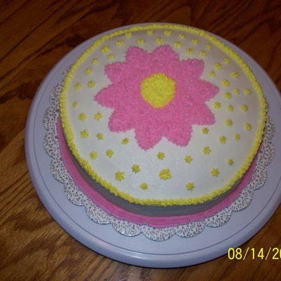 First Cake Ever - Wilton 1