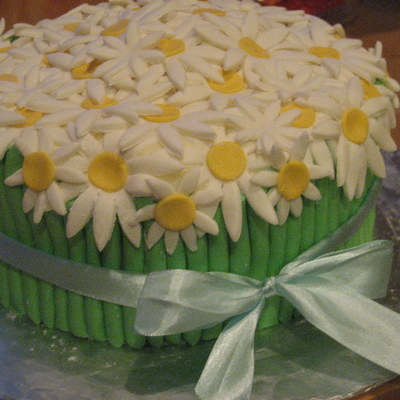 Bouquet Of Daisies