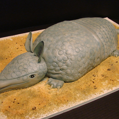 Armadillo Birthday Cake