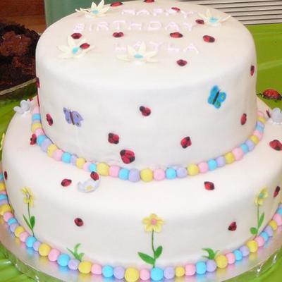 Lady Bug Birthday Cake