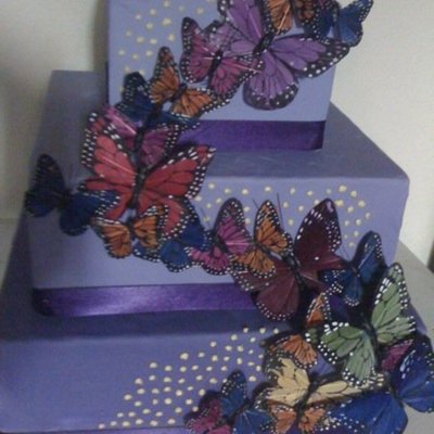 Butterfly Cake