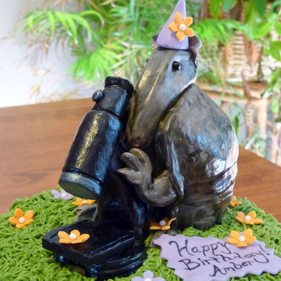 Armadillo Science