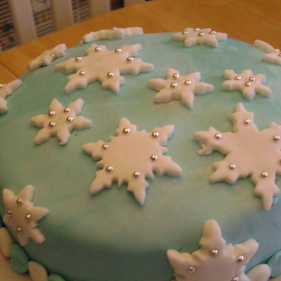 Sons Birthday Cake/winter Themed Cake