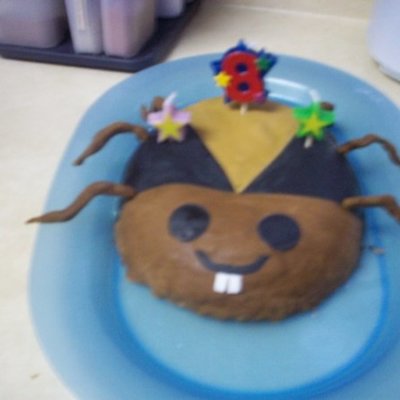 Waiter There Is A Bug In My Cake.