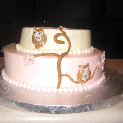 Baby Shower Owl Cake